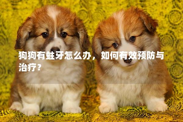 狗狗有蛀牙怎么辦，如何有效預防與治療？