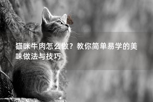 貓咪牛肉怎么做？教你簡單易學的美味做法與技巧