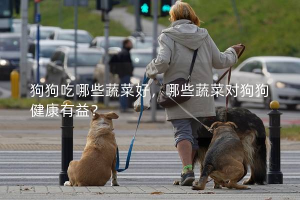狗狗吃哪些蔬菜好，哪些蔬菜對狗狗健康有益？