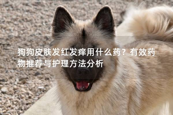 狗狗皮膚發紅發癢用什么藥？有效藥物推薦與護理方法分析