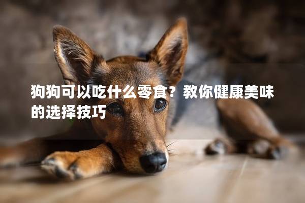 狗狗可以吃什么零食？教你健康美味的選擇技巧