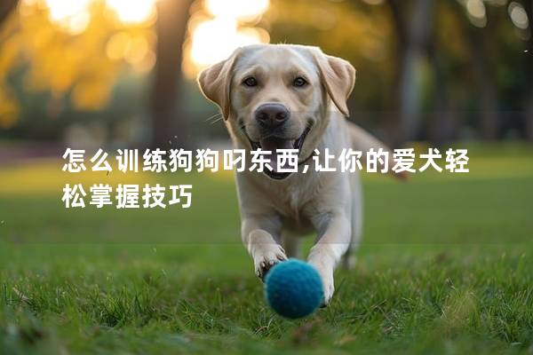 怎么訓練狗狗叼東西,讓你的愛犬輕松掌握技巧