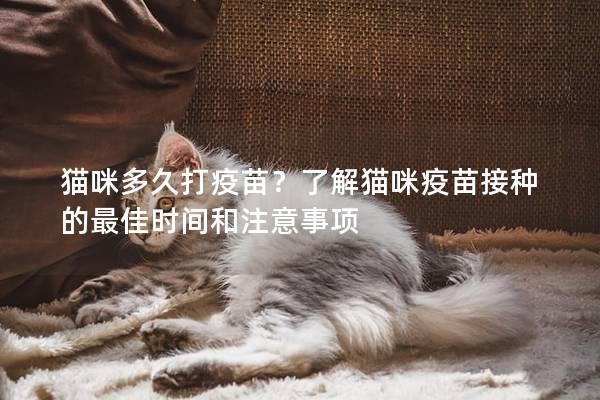 貓咪多久打疫苗？了解貓咪疫苗接種的最佳時間和注意事項