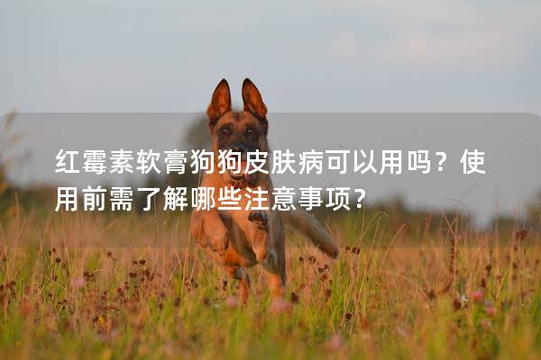 紅霉素軟膏狗狗皮膚病可以用嗎？使用前需了解哪些注意事項？