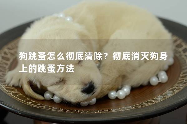 狗跳蚤怎么徹底清除？徹底消滅狗身上的跳蚤方法