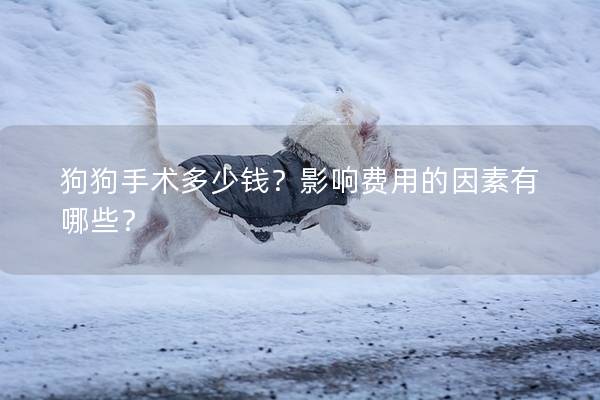 狗狗手術(shù)多少錢？影響費用的因素有哪些？