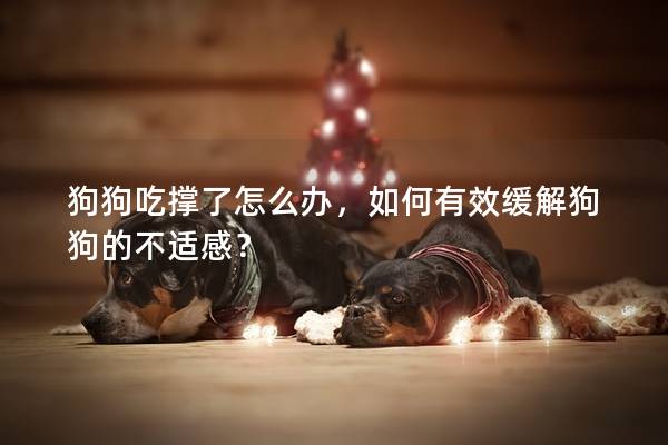 狗狗吃撐了怎么辦，如何有效緩解狗狗的不適感？