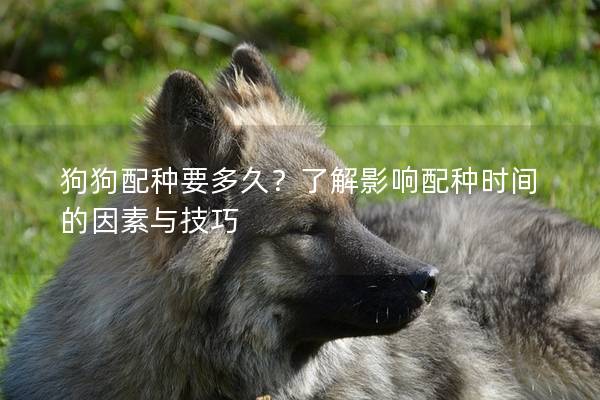 狗狗配種要多久？了解影響配種時間的因素與技巧