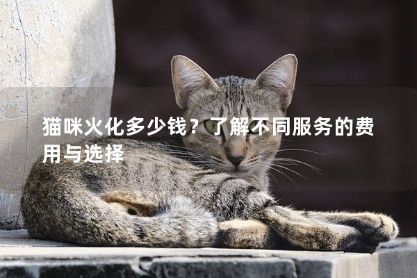 貓咪火化多少錢？了解不同服務的費用與選擇