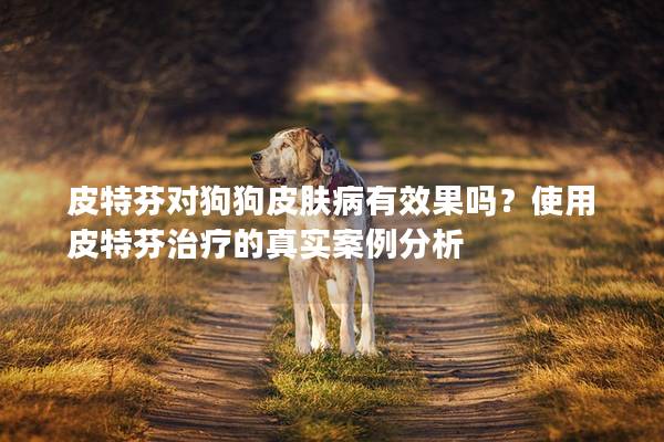 皮特芬對狗狗皮膚病有效果嗎？使用皮特芬治療的真實案例分析