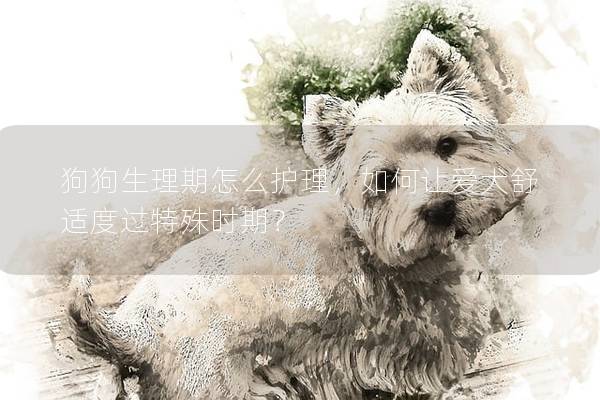 狗狗生理期怎么護理，如何讓愛犬舒適度過特殊時期？