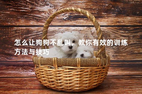 怎么讓狗狗不亂叫，教你有效的訓練方法與技巧