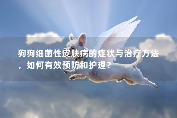 狗狗細菌性皮膚病的癥狀與治療方法，如何有效預防和護理？