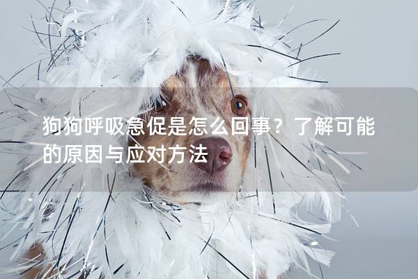 狗狗呼吸急促是怎么回事？了解可能的原因與應對方法