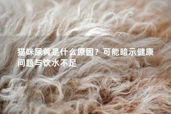 貓咪尿黃是什么原因？可能暗示健康問題與飲水不足