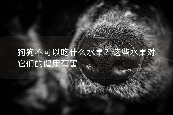 狗狗不可以吃什么水果？這些水果對(duì)它們的健康有害