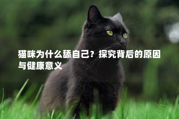貓咪為什么舔自己？探究背后的原因與健康意義