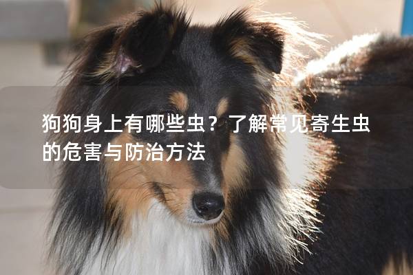 狗狗身上有哪些蟲？了解常見寄生蟲的危害與防治方法