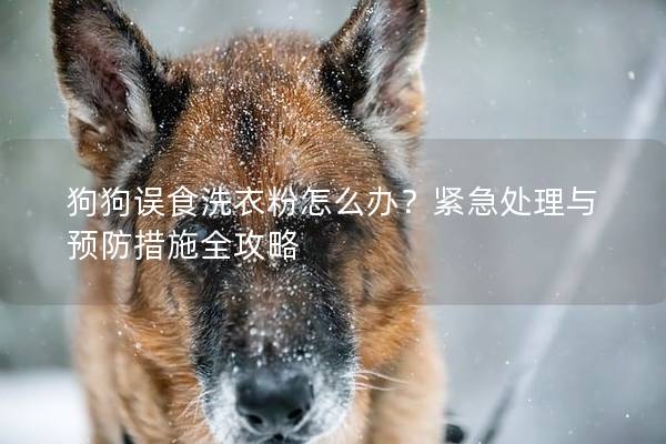 狗狗誤食洗衣粉怎么辦？緊急處理與預防措施全攻略
