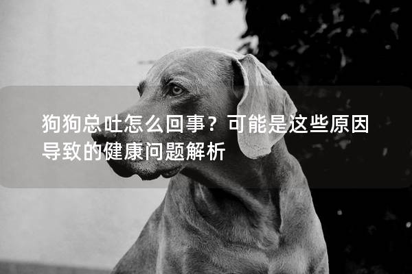 狗狗總吐怎么回事？可能是這些原因導致的健康問題解析