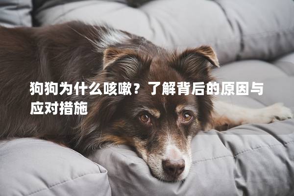 狗狗為什么咳嗽？了解背后的原因與應對措施