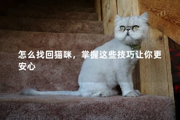 怎么找回貓咪，掌握這些技巧讓你更安心