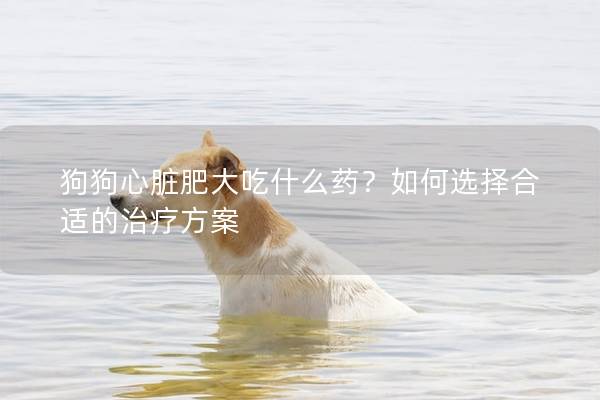 狗狗心臟肥大吃什么藥？如何選擇合適的治療方案