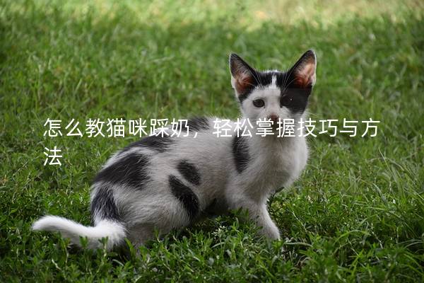 怎么教貓咪踩奶，輕松掌握技巧與方法