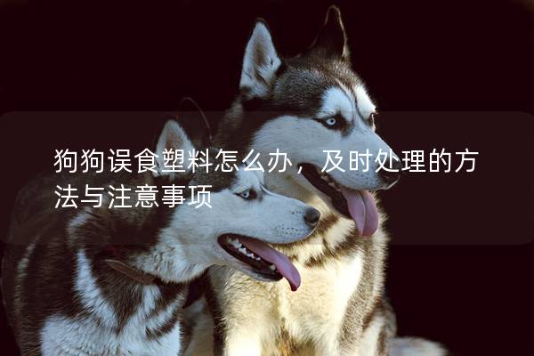 狗狗誤食塑料怎么辦，及時處理的方法與注意事項