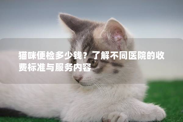 貓咪便檢多少錢(qián)？了解不同醫(yī)院的收費(fèi)標(biāo)準(zhǔn)與服務(wù)內(nèi)容