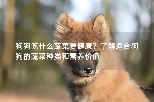 狗狗吃什么蔬菜更健康？了解適合狗狗的蔬菜種類和營養(yǎng)價(jià)值