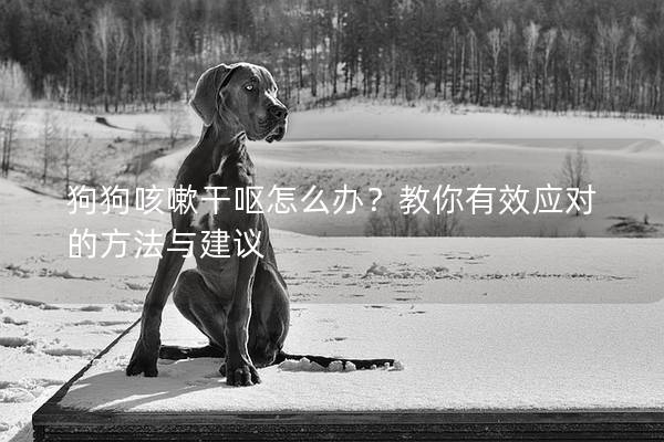 狗狗咳嗽干嘔怎么辦？教你有效應對的方法與建議