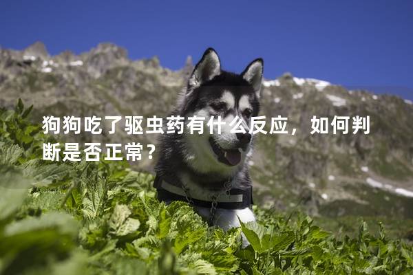 狗狗吃了驅蟲藥有什么反應，如何判斷是否正常？
