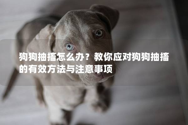 狗狗抽搐怎么辦?教你應(yīng)對狗狗抽搐的有效方法與注意事項 狗狗抽搐怎么辦?教你應(yīng)對狗狗抽搐的有效方法與注意事項