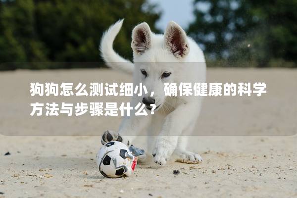 狗狗怎么測試細小，確保健康的科學方法與步驟是什么？