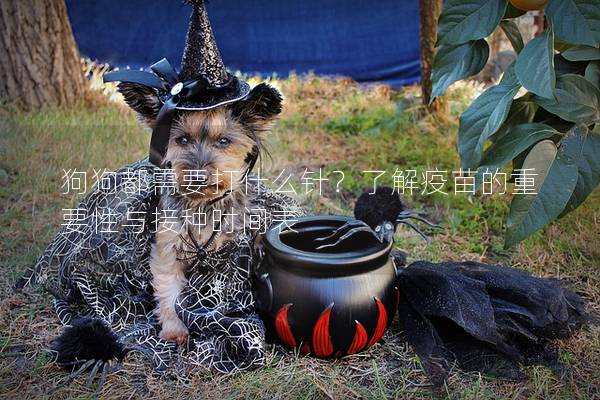 狗狗都需要打什么針？了解疫苗的重要性與接種時間表