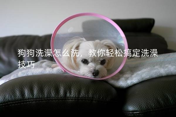 狗狗洗澡怎么洗，教你輕松搞定洗澡技巧