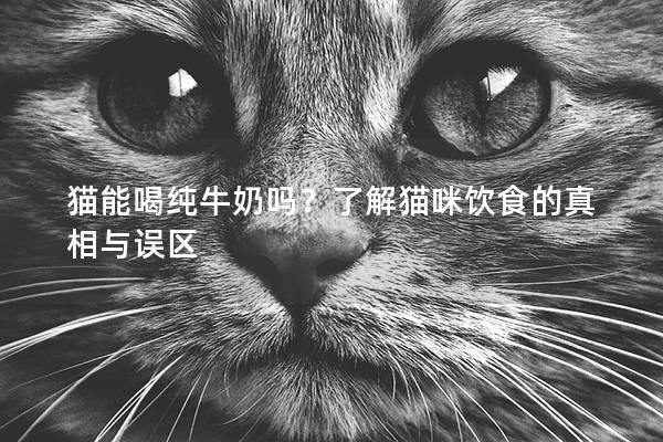 貓能喝純牛奶嗎？了解貓咪飲食的真相與誤區(qū)