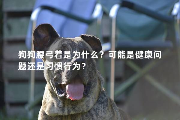 狗狗腰弓著是為什么?可能是健康問題還是習(xí)慣行為? 狗狗腰弓著是為什么?可能是健康問題還是習(xí)慣行為?