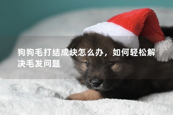 狗狗毛打結(jié)成塊怎么辦，如何輕松解決毛發(fā)問(wèn)題