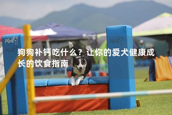 狗狗補鈣吃什么？讓你的愛犬健康成長的飲食指南
