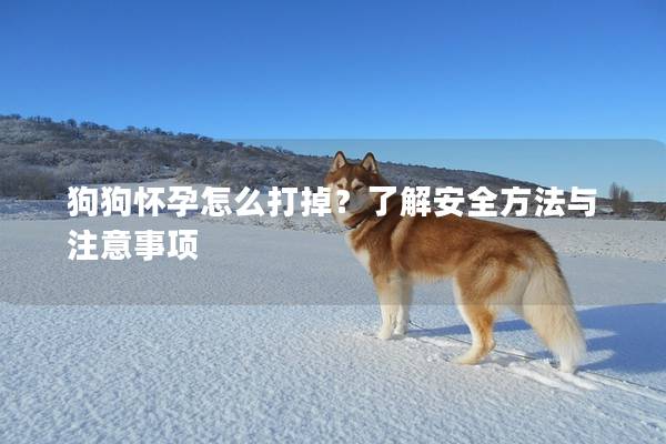 狗狗懷孕怎么打掉？了解安全方法與注意事項