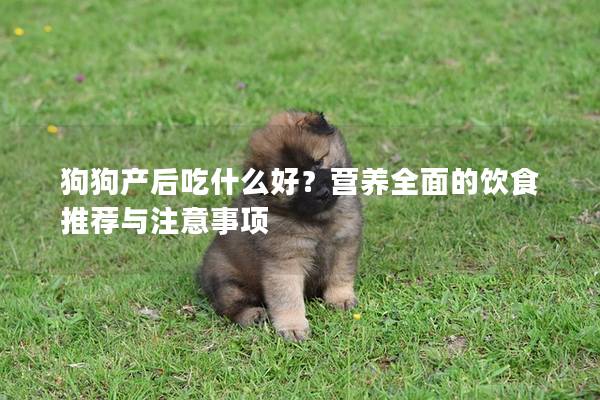 狗狗產后吃什么好？營養全面的飲食推薦與注意事項
