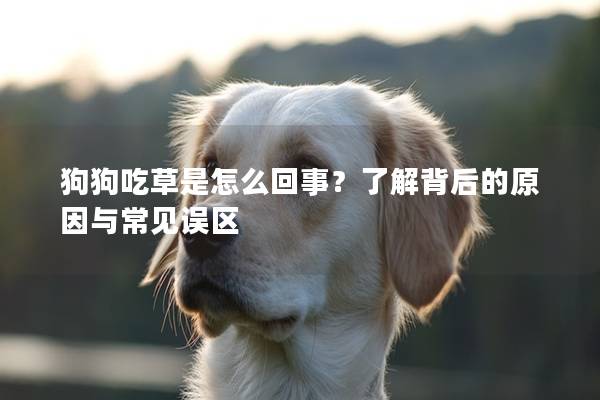 狗狗吃草是怎么回事？了解背后的原因與常見誤區