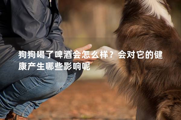 狗狗喝了啤酒會怎么樣？會對它的健康產生哪些影響呢