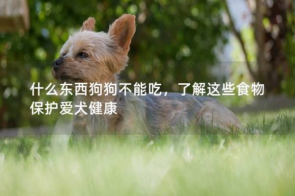 什么東西狗狗不能吃,了解這些食物保護愛犬健康 什么東西狗狗不能吃,了解這些食物保護愛犬健康