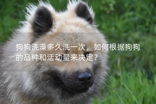 狗狗洗澡多久洗一次，如何根據狗狗的品種和活動量來決定？