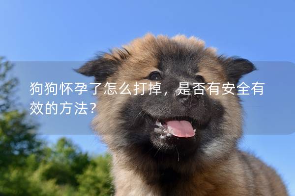 狗狗懷孕了怎么打掉，是否有安全有效的方法？