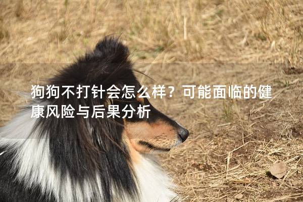 狗狗不打針會怎么樣?可能面臨的健康風險與后果分析 狗狗不打針會怎么樣?可能面臨的健康風險與后果分析