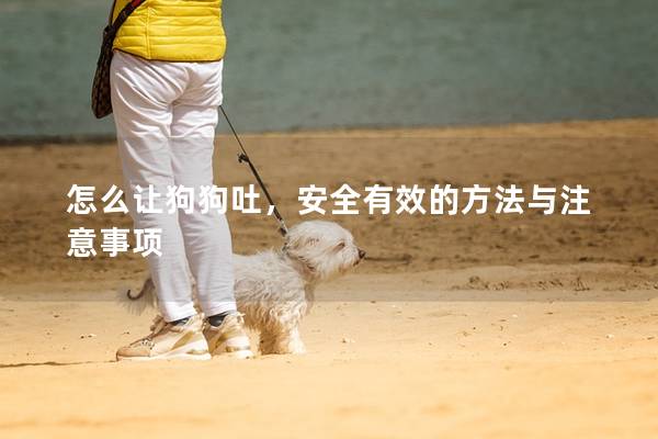 怎么讓狗狗吐,安全有效的方法與注意事項 怎么讓狗狗吐,安全有效的方法與注意事項